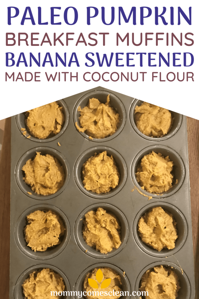 These Paleo pumpkin breakfast muffins are deliciously dense and moist. Made with coconut flour and banana, they're nut free, dairy free, gluten-free, and have no added sweeteners. They're a perfect, nutritious start to the day!